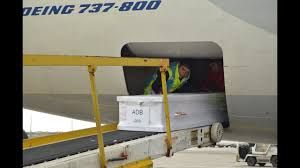 Pegasus Cenaze Taşıma Destek Hattı